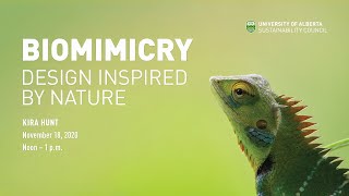 Biomimicry Design Inspired by Nature [upl. by Oemor37]