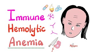 Immune Hemolytic Anemia intro [upl. by Aroda288]