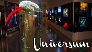 Universum museo de las ciencias UNAM 2018 [upl. by Aisatsan333]