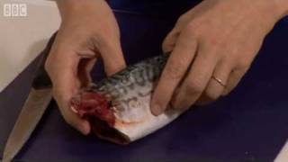 How to fillet a mackerel  BBC GoodFood com  BBC Food [upl. by Oiludbo]