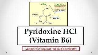 Pyridoxine HCl Vitamin B6 uses antidote effects mechanism indications and ADRs ☠ [upl. by Gosney]