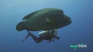 Top 10 Most Awesome Scuba Diving Spots Ever [upl. by Breana239]