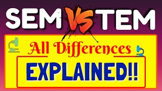 What is Difference Between SEM amp TEM  All Differences Explanation between SEM and TEM  SEM VS TEM [upl. by Herbert]