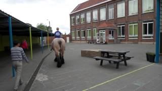 Paarden op school [upl. by Leivad]