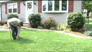 Lawn Aeration and Overseeding Lawn Care Tips [upl. by Nnahoj950]