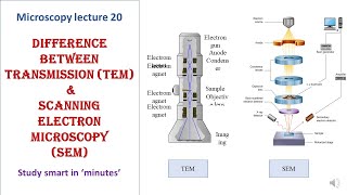 Differences between Transmission TEM amp Scanning Electron microscopy SEM  Microscopy lecture 20 [upl. by Vin]