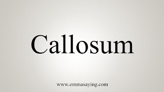 How To Say Callosum [upl. by Nosreve]