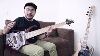 Indonesian Bass Channel  MTD KINGSTON Z6 [upl. by Ettennej381]