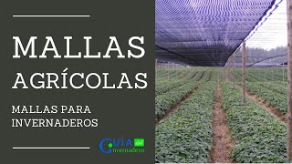 Mallas Agrícolas para Invernaderos [upl. by Franek930]