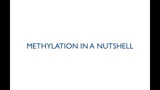 Methylation In a Nutshell [upl. by Arimlede]