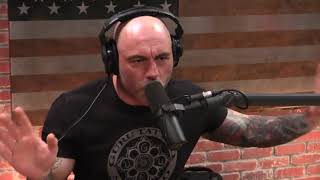 Joe Rogan  Psychedelics May Show You Things You Dont Want to See [upl. by Cagle]