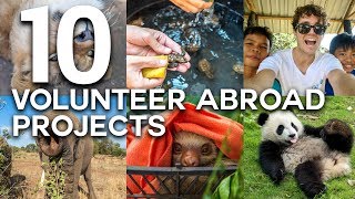 10 LIFE CHANGING VOLUNTEER ABROAD EXPERIENCES [upl. by Pool]