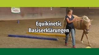 Equikinetic Muskelaufbautraining Basiserklärungen mit Andrea EschbachKindler [upl. by Odarnoc]