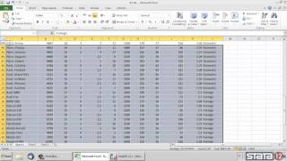 Copypaste data from Excel® into Stata® [upl. by Ahsietal]