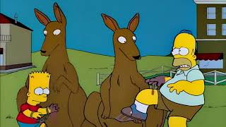 Kangaroo Pouches  The Simpsons [upl. by Pucida]