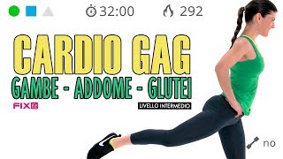 Allenamento Cardio GAG Senza Salti Esercizi Gambe Addominali e Glutei [upl. by Rochester472]