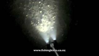 Spearing Flounder at Whangarei [upl. by Forster841]