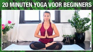 20 min Yoga voor Beginners  YOGA MET MILOU [upl. by Anoid]