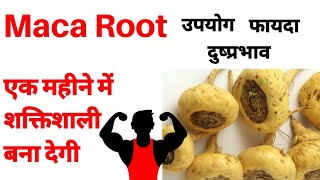 Maca root use benefits and side effects in hindi  maca root khane ke fayde  Renatus Nova Wellness [upl. by Laaspere1]