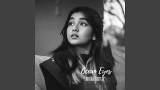 Ocean Eyes feat Sumesh Parameswar [upl. by Noemys33]