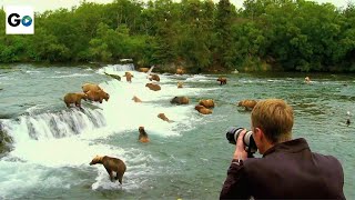 Katmai National Park [upl. by Akimak]