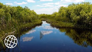 Everglades National Park Florida USA Amazing Places 4K [upl. by Tenej]