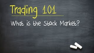 Trading 101 What is the Stock Market [upl. by Ardnued222]