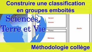 Construire une classification en groupes emboités [upl. by Nnep]