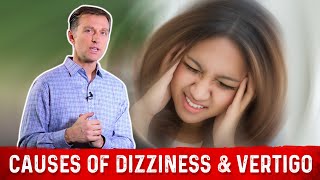 3 Causes Of Dizziness or Vertigo Explained By Dr Berg [upl. by Seiuqram800]