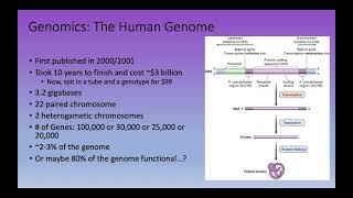 Bioinformatics Lecture 2 Whats in a genome [upl. by Ive]