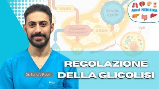 Regolazione della glicolisi [upl. by Agnese]