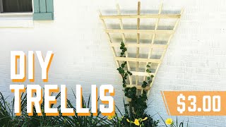 DIY Garden Trellis [upl. by Kester]