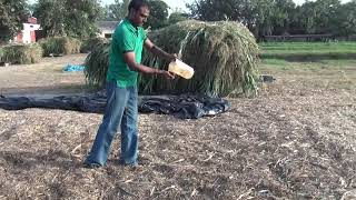 Silage Making for Successful Dairy Farming [upl. by Harrat]