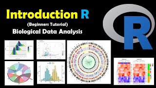 Introduction to R for Biologists  Run a Simple Program Complementary DNA [upl. by Nelyk]