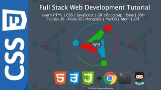 16 Specificity in CSS  Full stack web development Tutorial Course [upl. by Howund]