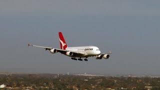 Qantas Skillful A380 Landing in 100 km per hour winds at Melbourne Airport Treacherous Conditions [upl. by Brodeur]