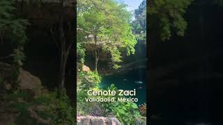 Incredible Cenote in Valladolid Mexico Cenote Zaci shorts [upl. by Daisy85]