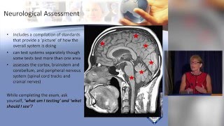 Neurological Assessment [upl. by Seuqcaj]