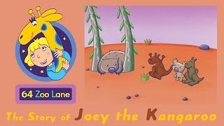 64 Zoo Lane  Joey the Kangaroo S01E03 HD  Cartoon for kids [upl. by Lovett]