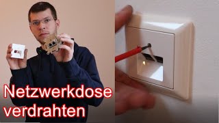 Netzwerkdose verdrahten ElektroM [upl. by Halyhs]