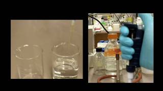 How to Use a Pipette [upl. by Barby]