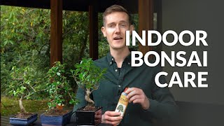 Indoor Bonsai care [upl. by Zetroc]