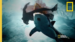 A String of Shark Attacks in San Diego  When Sharks Attack [upl. by Chaffinch]