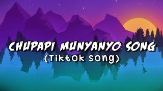 Chupapi Munyanyo Song  Tiktok Song Music Video [upl. by Maiga856]