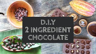 How to Make Chocolate from Cacao Nibs [upl. by Mintz800]