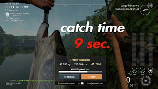 Fishing Planet  Very EasyampFast to Catch Trophy ARAPAİMA TIPS [upl. by Anaiad]