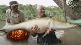 Incredible REEL TIME Arapaima Catch  ARAPAIMA  River Monsters [upl. by Avrenim427]