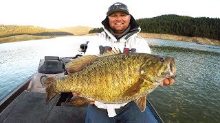 New Personal Best GIANT Smallmouth Bass [upl. by Kassity60]