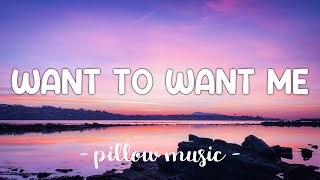 Want To Want Me  Jason Derulo Lyrics 🎵 [upl. by Pate214]