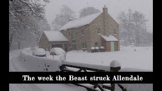 The Beast From The East  Allendale Documentary  2018 [upl. by Mailiw]